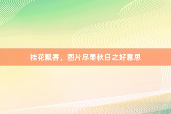 桂花飘香，图片尽显秋日之好意思